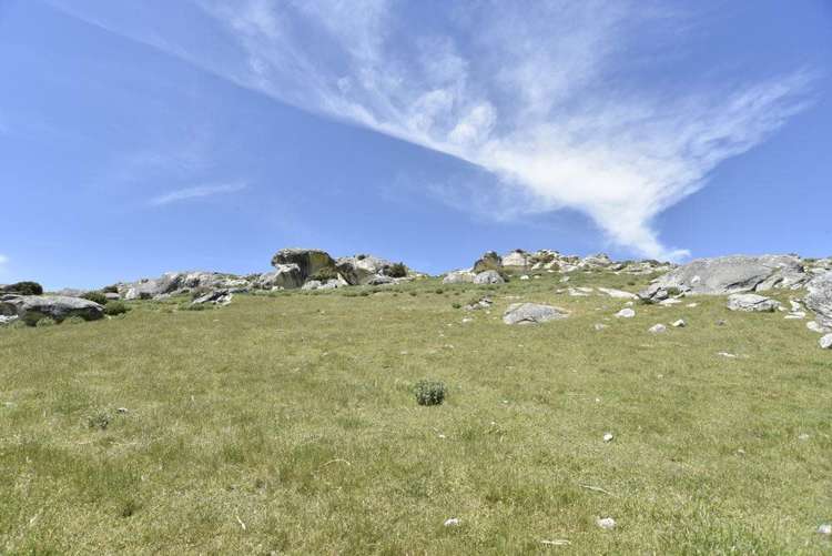 455 Mcraes Road Scargill_17