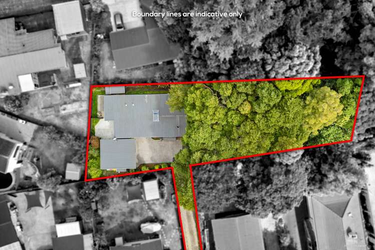 52 Collie Street Hill Park_21