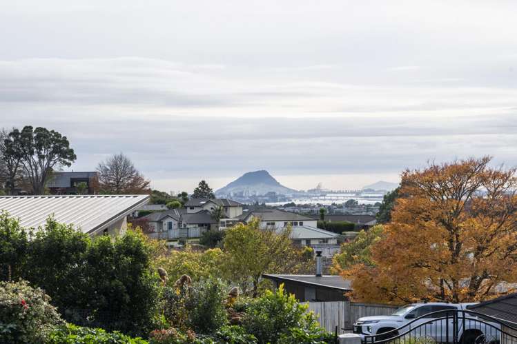 48 Buxton Place Ohauiti_2