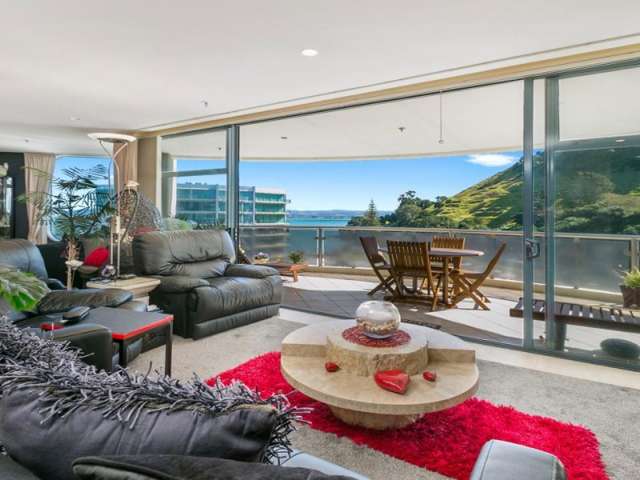 8c/2 Marine Parade Mount Maunganui_2