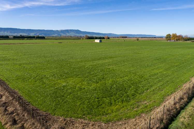 60 Pohlen Road Matamata_5