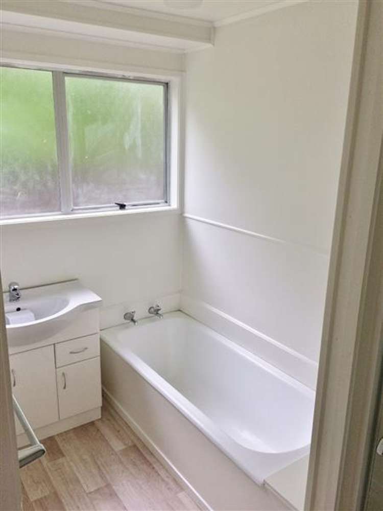 344 Roscommon Road Clendon Park_9