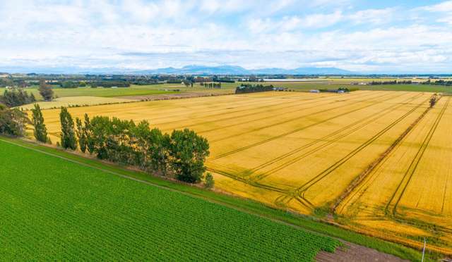 215 Falvey Road Levels_4