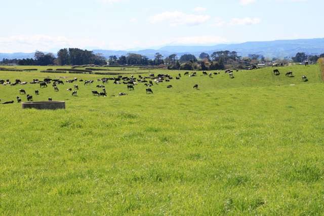 OUTSKIRTS OF STRATFORD DAIRY FARM