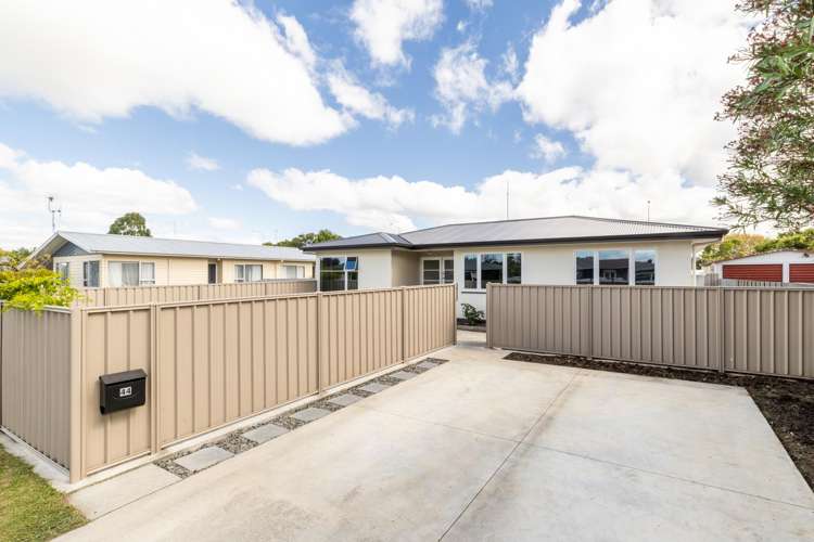 44 Downing Avenue Pirimai_17