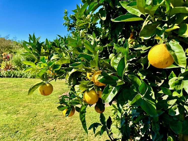 3 Granny Tarr Street Makaraka_22