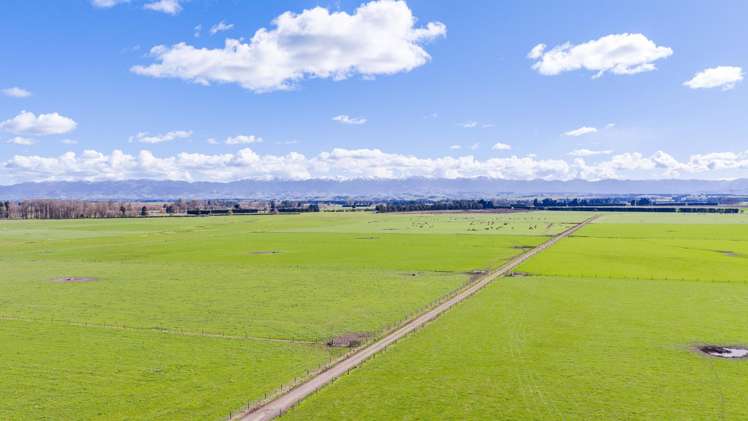 337 Ongaonga Waipukurau Road Ongaonga_11