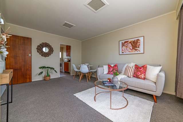 453A Ferguson Street Palmerston North Cbd_2