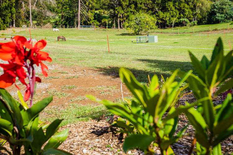 76 Riddell Road Kerikeri_16