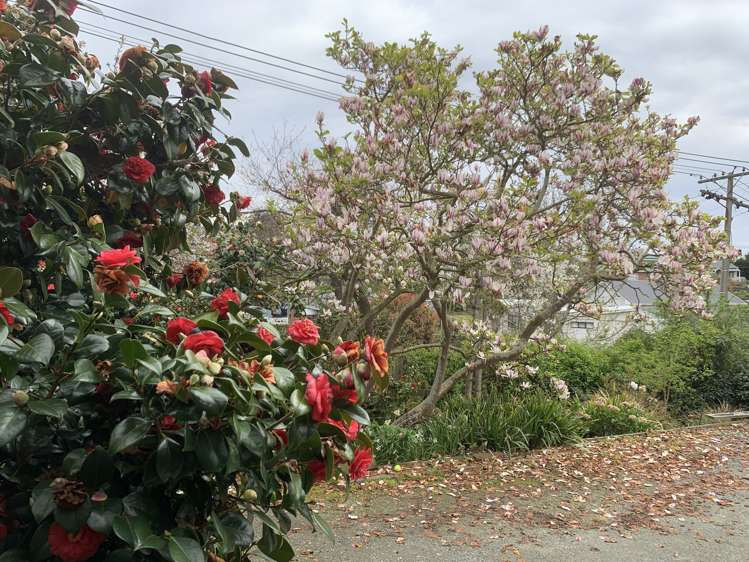 11 Ross Street Balclutha_20