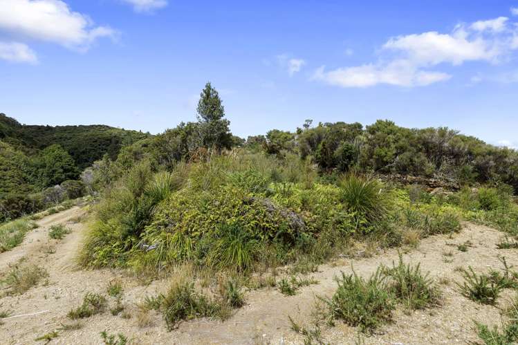 1342F Akatarawa Road_2