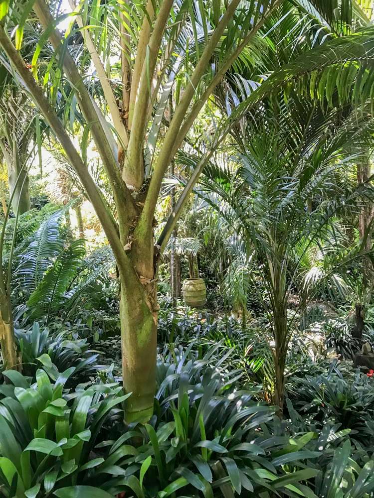 111 Old Reservoir Road Karangahake_19