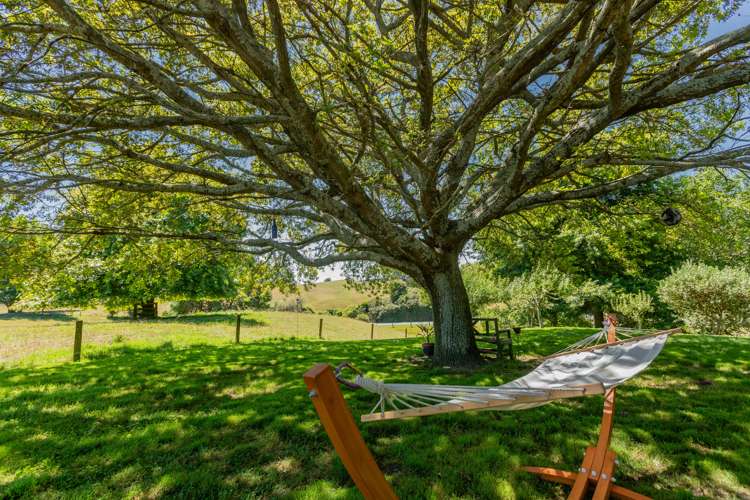 124 Hereford Park Road Pukehina_20