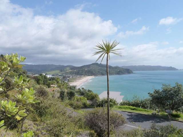 7 Fantail Terrace Tairua_1
