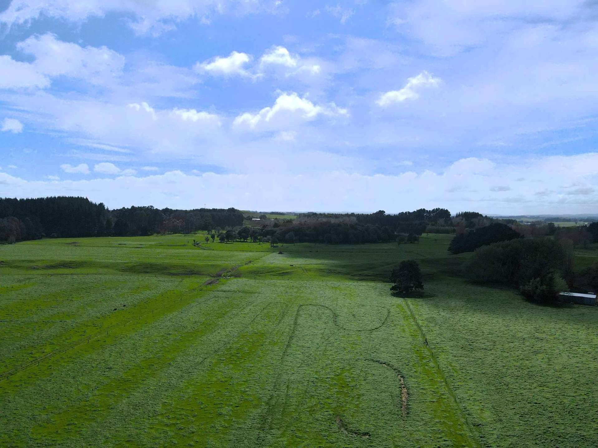 78 Brandon Hall Road Bulls_0