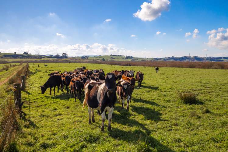 155 Finlayson Road Maramarua_17