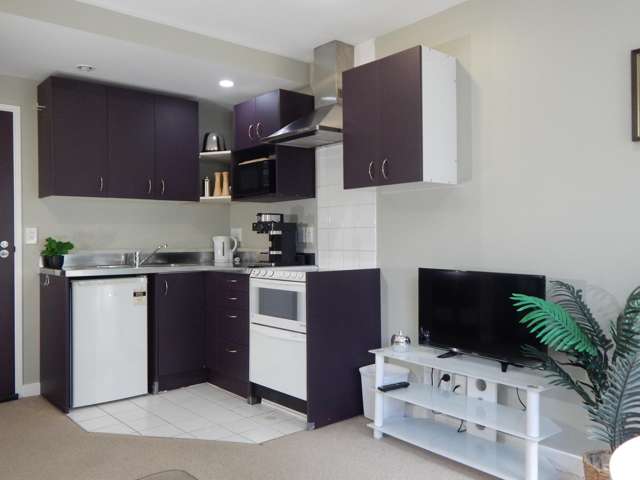 5a/163 The Terrace Wellington Central_4