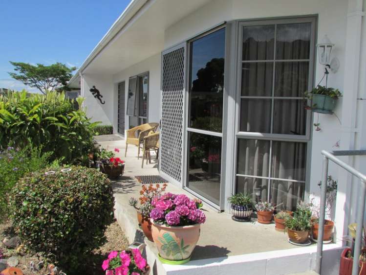 105a Margaret Place Thames_5