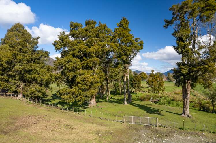 108 Fairfax Street Murchison_8