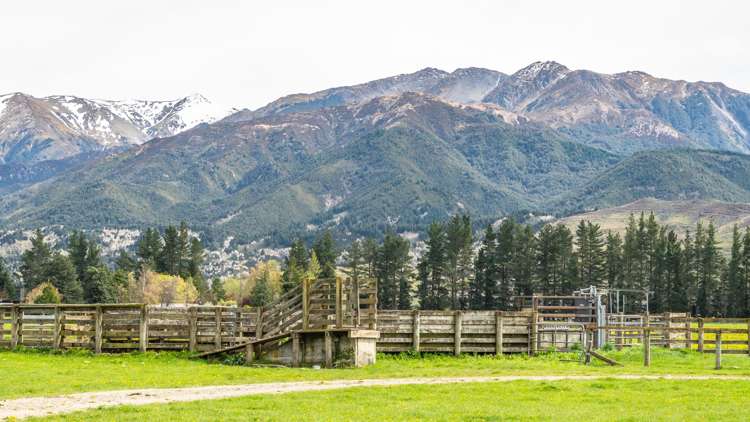 163 Woodbank Road Hanmer Springs_13