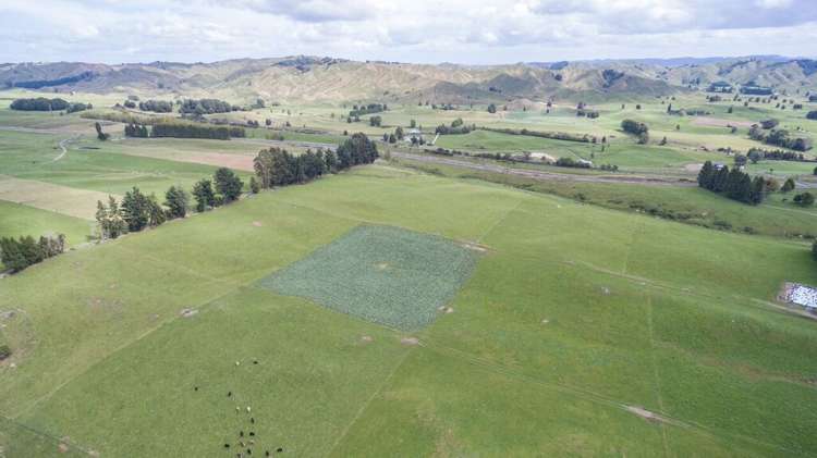 60 Bullians Road Owhango_8