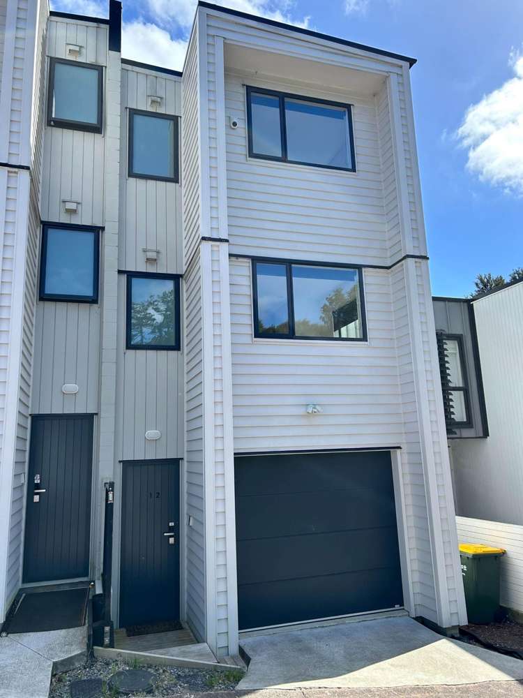 12 Mohaka Way Albany_2