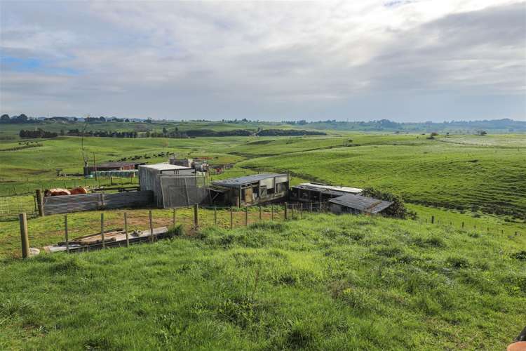 291 Ginn Road Huntly_28