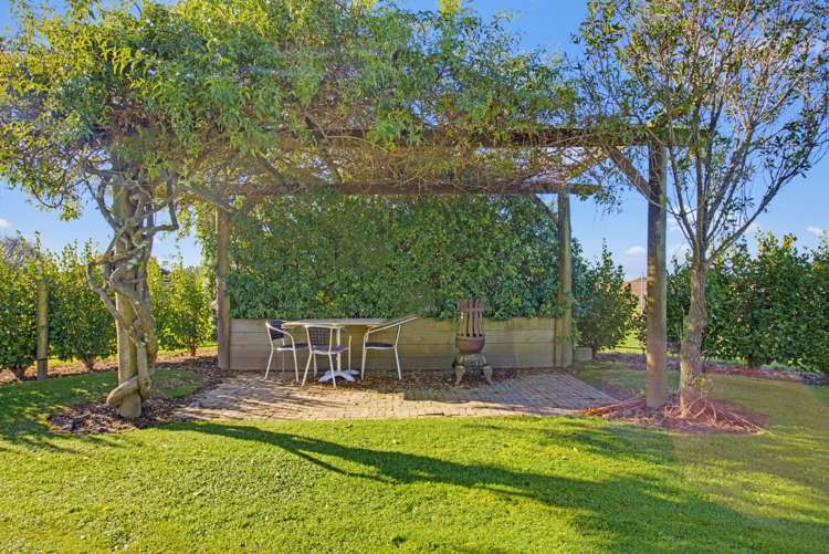 146 Lodder Lane Riwaka Motueka_25