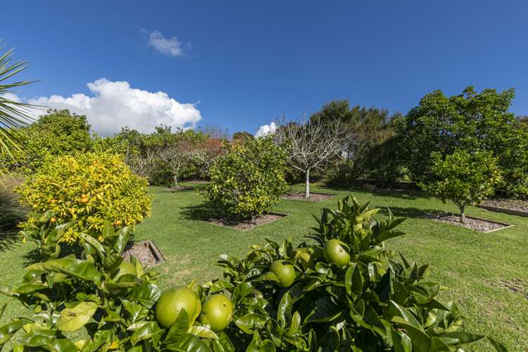 13c Tarata Court Redvale_5