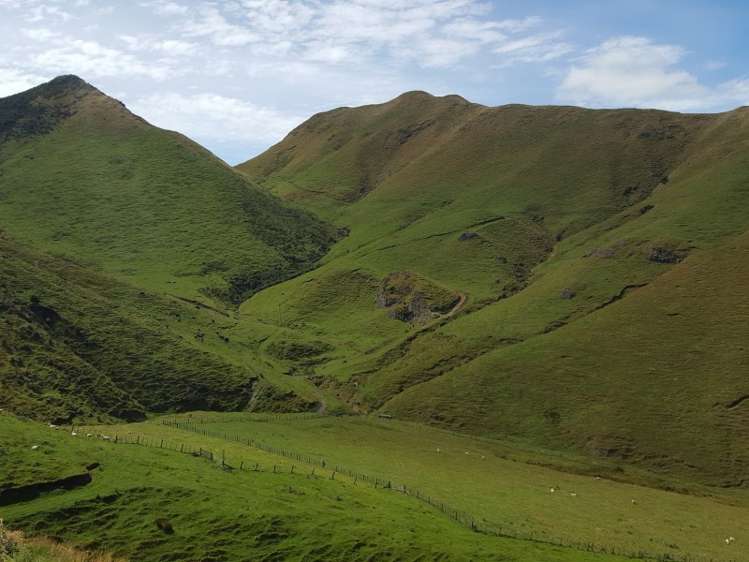 629 Tamaki East Road Rangitikei Surrounds_13