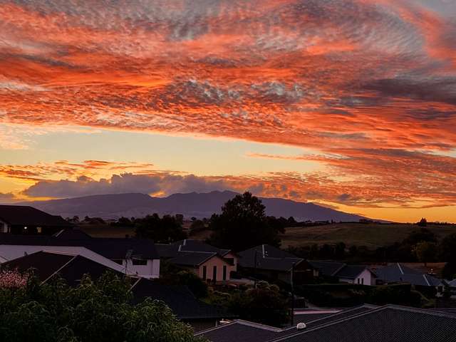 91 Lola Lee Heights Te Awamutu_3