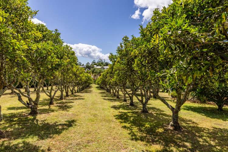 17 Poplar lane Kerikeri_9