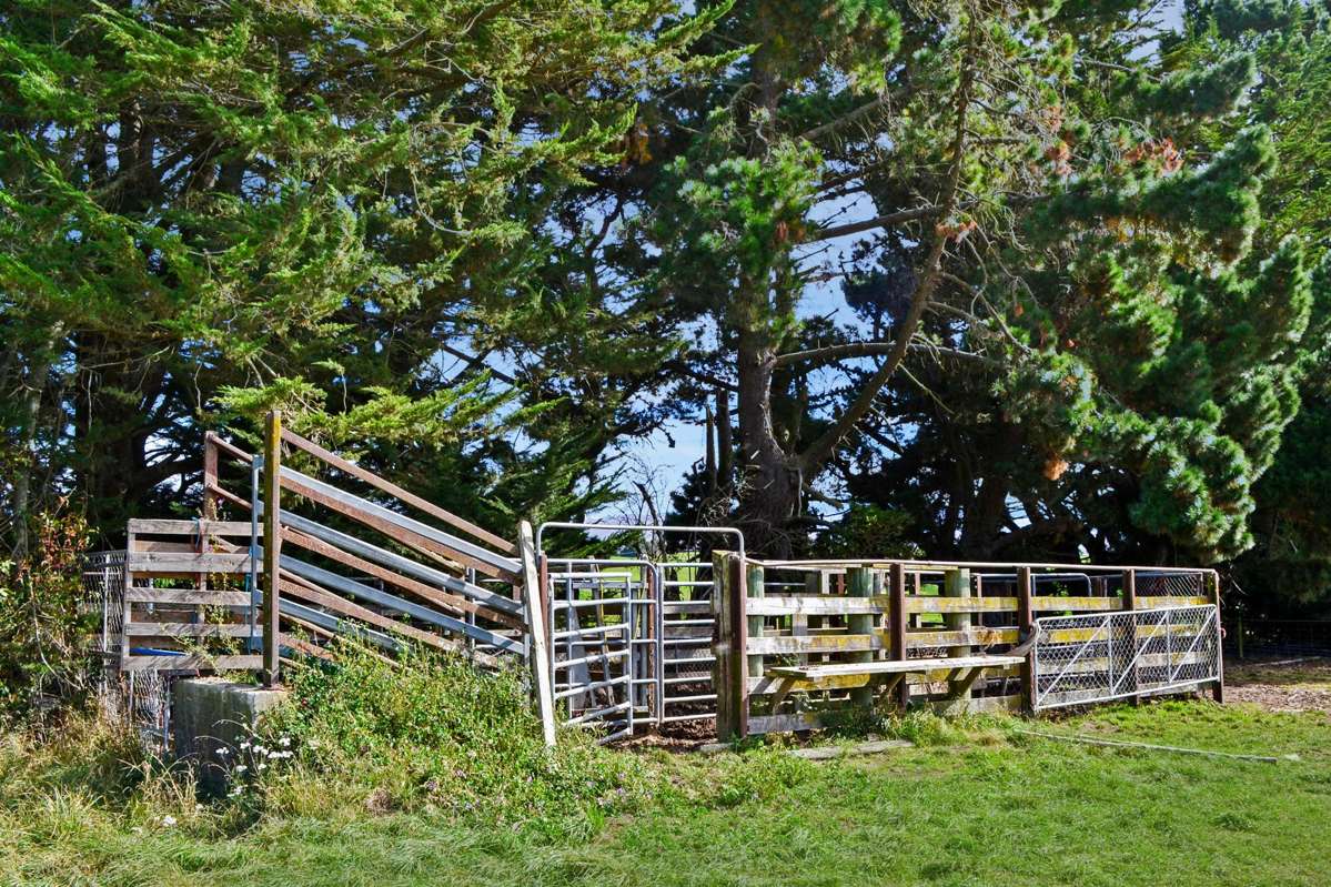 594 Tokarahi-Ngapara Road_2