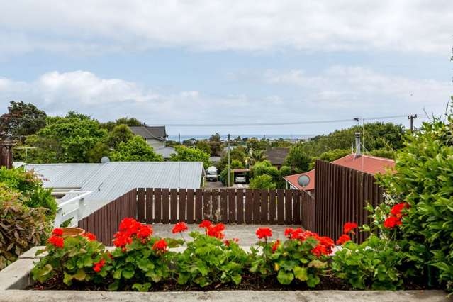 4/20 Rimu Street Strandon_3