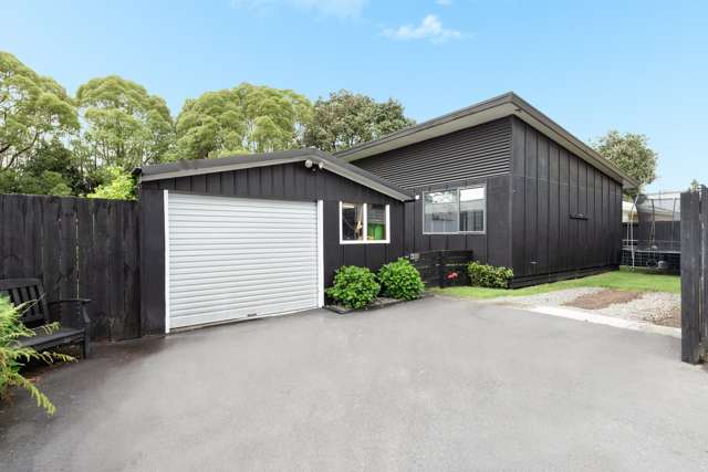 46b Hall Road Matua_4