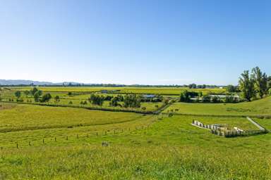 Lot 2 Repongaere Road_3