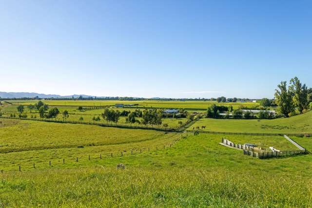 Lot 2 Repongaere Road Patutahi_3