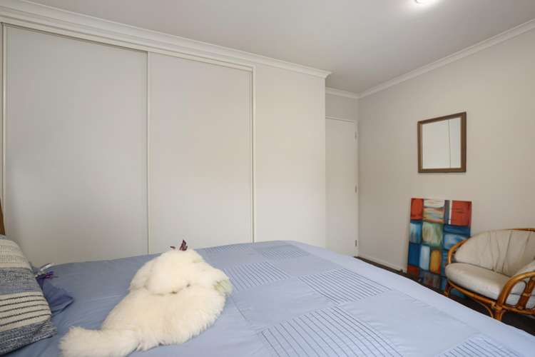 50A McMurdo Street Tinwald_18