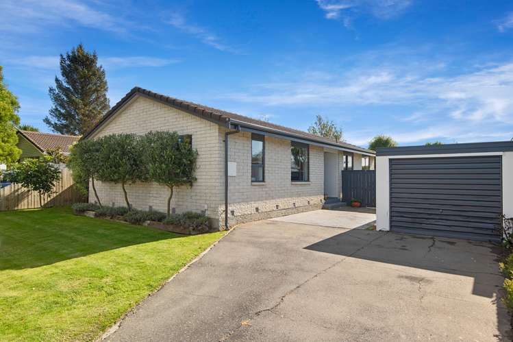 15 Jenkins Avenue Redwood_2