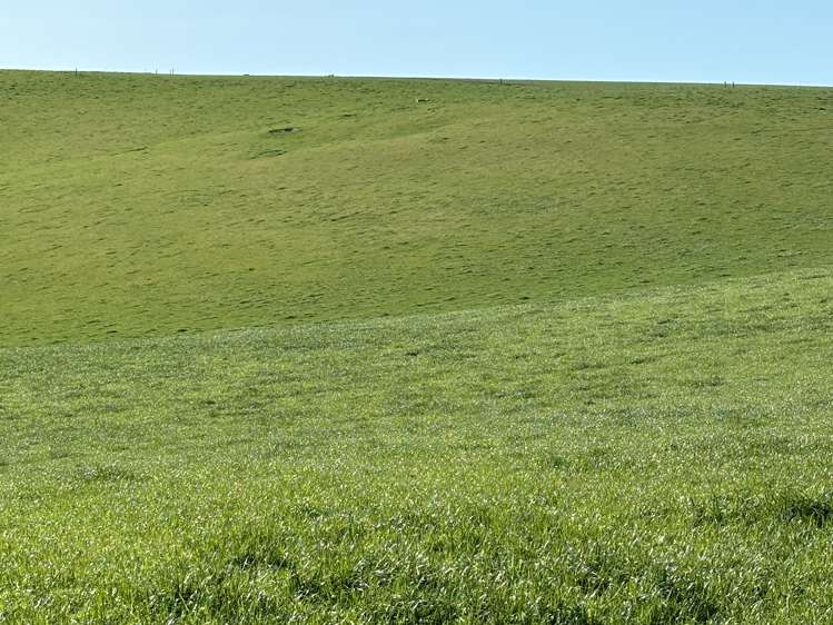 Round Hill Road Five Forks and Surrounds_14