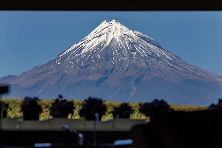 347 Henwood Road Hillsborough_9