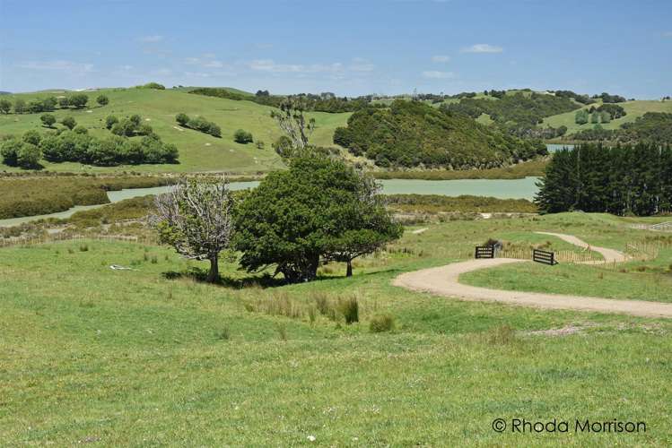 321 Heatley Road Whakapirau_28