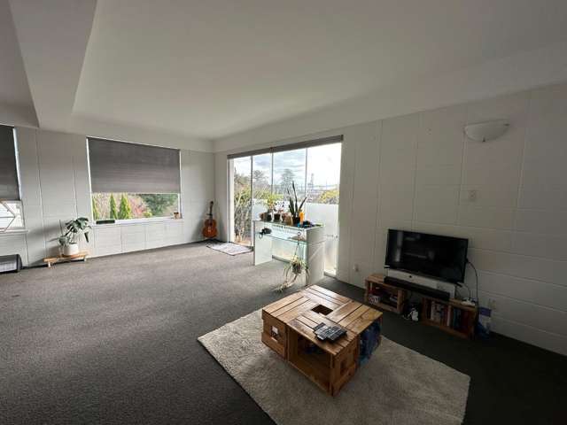 3/12 Bridgewater Road Parnell_2