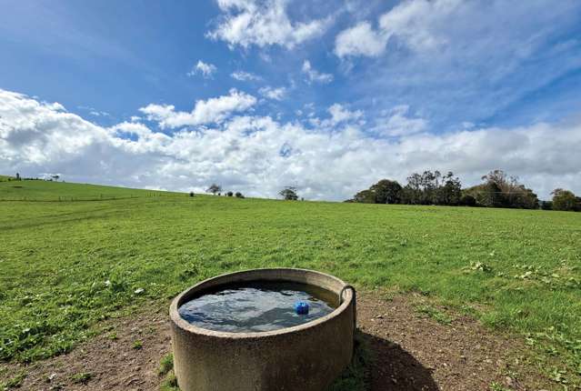738 Taniwha Road Waerenga_2