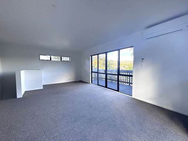 99D Captain Scott Road Glen Eden_2