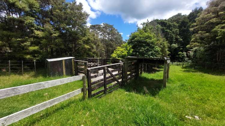 1104 Tapuhi Road Hikurangi Rd2_12