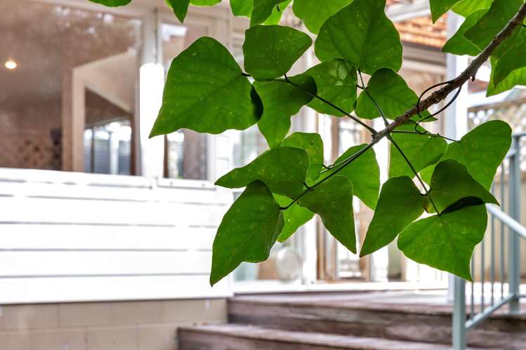 17D Bernard Street Avenues_15