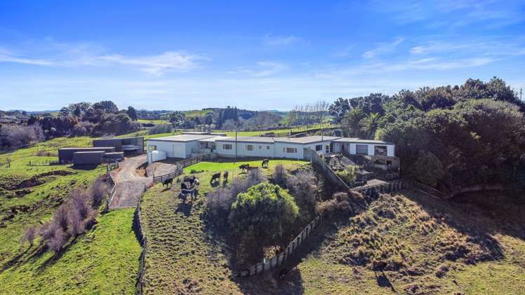 895 Glen Murray Road Rangiriri_8
