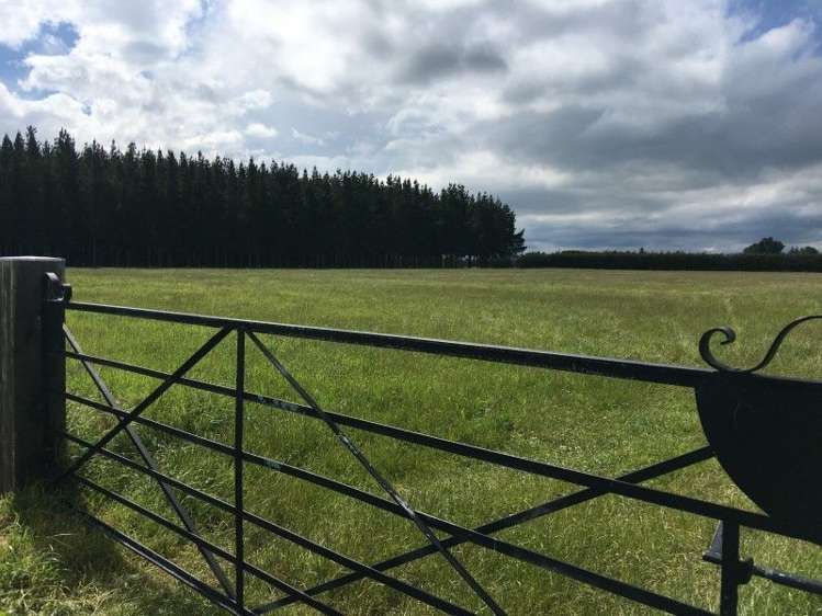 1063 Browns Road Swannanoa_5