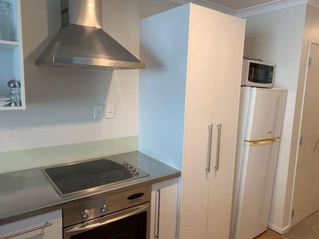 3/391 Victoria Street Callum Brae_3